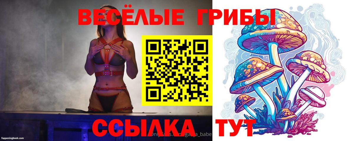 Псилоцибиновые грибы MAGIC MUSHROOMS  Вход с VPN  Йошкар-Ола  Галлюциногенные грибы Magic Shrooms 